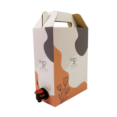 Caja de café personalizada de 1L/2L/3L, bolsa de café desechable en caja con dispensador de válvula