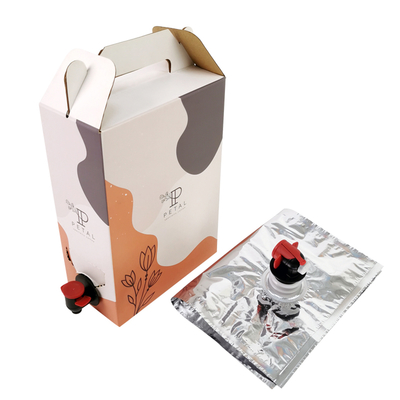 Caja de café personalizada de 1L/2L/3L, bolsa de café desechable en caja con dispensador de válvula
