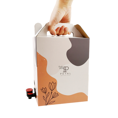 Caja de café personalizada de 1L/2L/3L, bolsa de café desechable en caja con dispensador de válvula