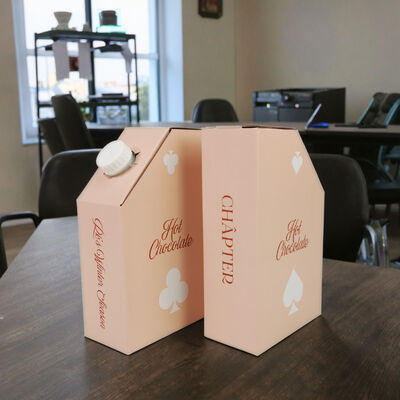 Bolsa certificada ISO SGS en caja de impresión personalizada Cuadrada Rectangular de embalaje de oferta y soluciones de almacenamiento de líquidos seguros