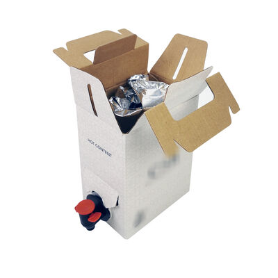 Plastic Bag in Box Without Tap Leak Proof Packaging Designed to Maintain Liquid Integrity and Provide Safe Transportation