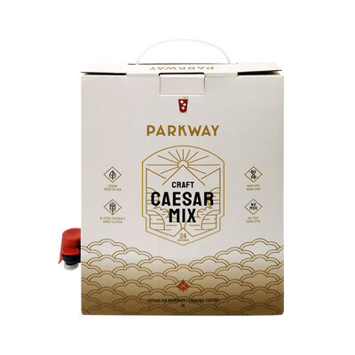 Handle Bag In Box Customized Printing Tap Accessories Versatile Packaging Solution for Industrial and Commercial Liquids
